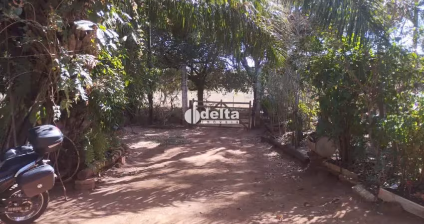 Chácara disponível para venda na zona rural de uberlândia em uberlândia-mg.