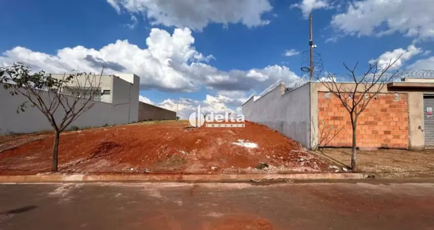 Terreno residencial 250m² disponível para venda no bairro nascente do vale/portal do vale em uberlândia - mg.