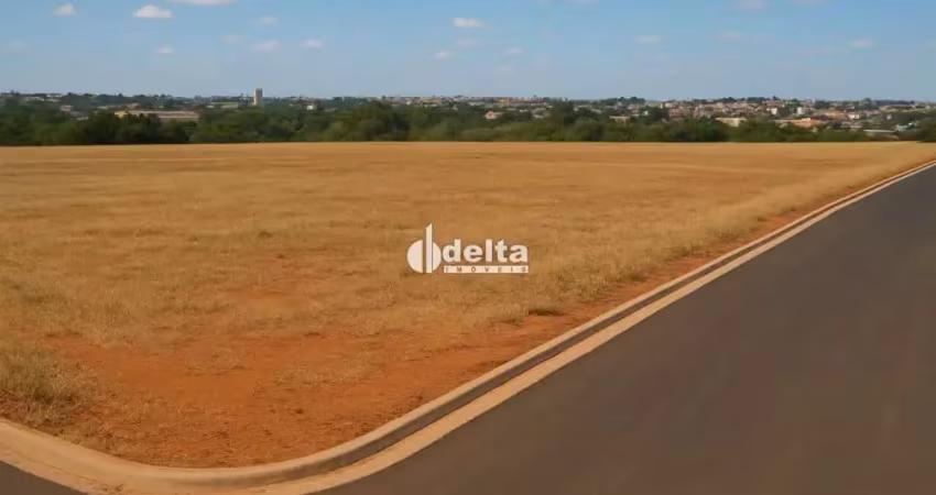 Terreno comercial de 5.000 m², disponível para venda no centro empresarial leste em uberlândia.