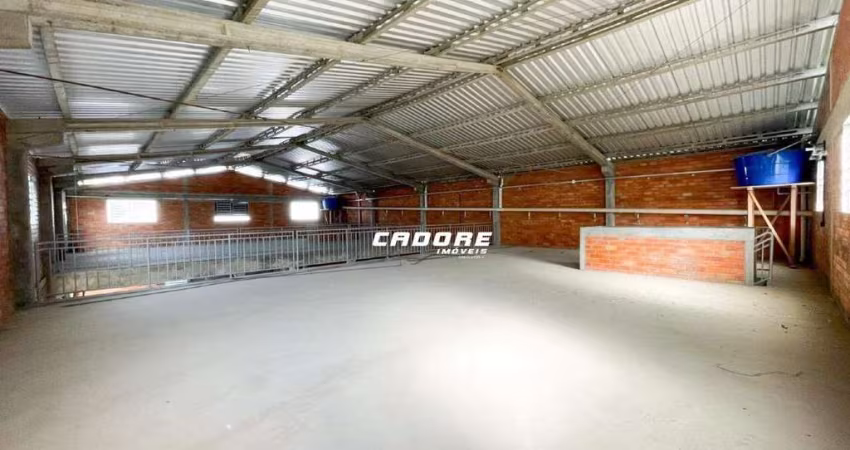 Galpão com aproximadamente 730m² para locação no bairro Itoupava Seca I Cadore Imóveis