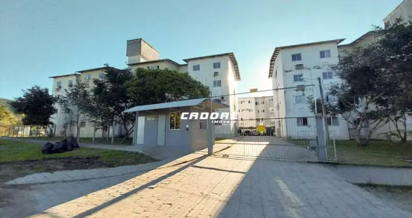 Apartamento para aluguel, 2 quartos, 1 vaga, ponta aguda - blumenau/sc