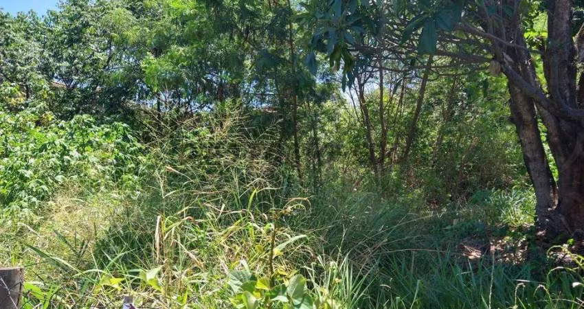 Terreno à venda no Parque Rural Fazenda Santa Cândida, Campinas 