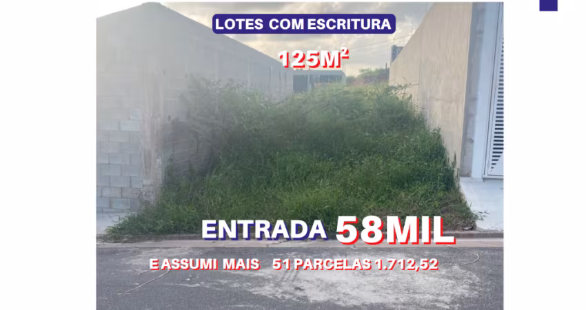 Vende lote 125m2 com escritura dentro do loteamento planejado Novo Badra em Suzano
