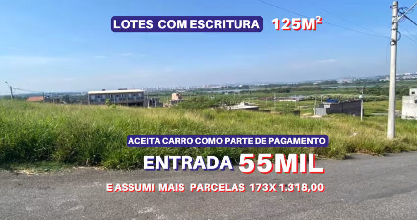 Vende lote 125m2 com escritura dentro do loteamento planejado Novo Badra em Suzano