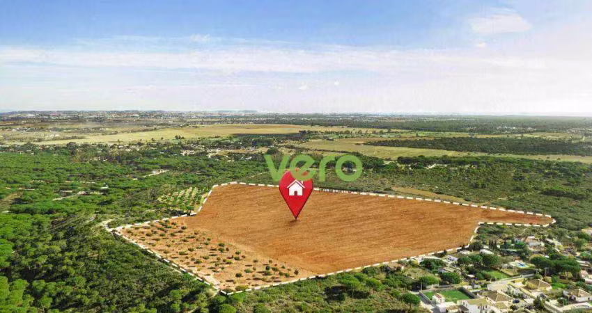 Terreno à venda, 22425 m² por r$ 6.400.000,00 - limeira - limeira/sp