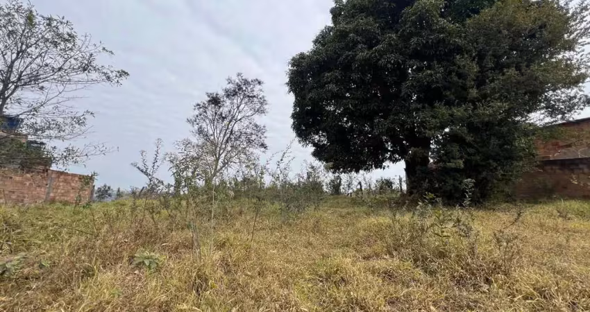 Terreno em condomínio fechado à venda na Rua Genciana, 145, Rosaneves, Ribeirão das Neves
