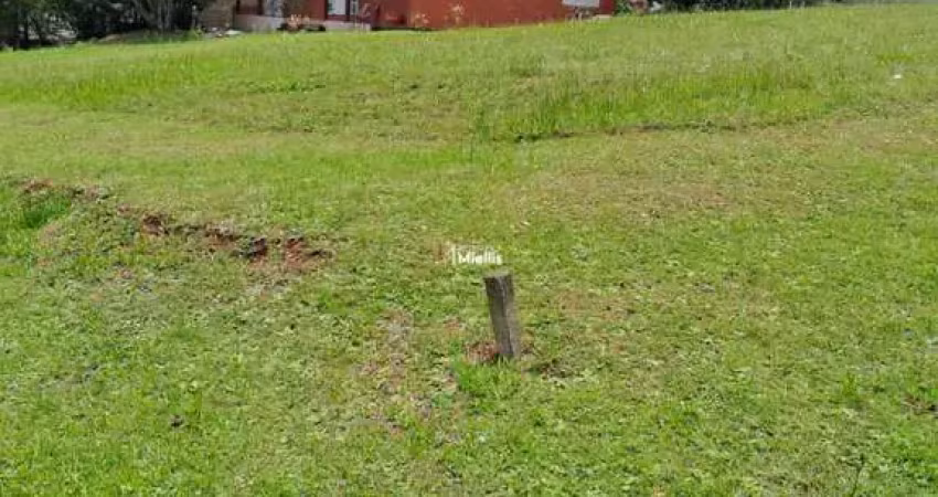 LOTE COND. CONDADO DE CASTELLA