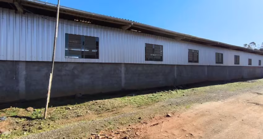Barracão / Galpão / Depósito com 6 salas à venda na Rua Sant'Ana, Arapongas, Indaial