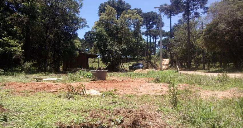 CHACARA EM CONTENDA COM 3.500 METROS