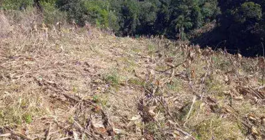 Chácara / sítio com 3 quartos à venda na Zona Rural, Contenda 