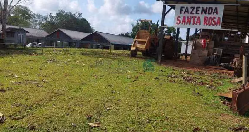 Fazenda à venda de cacau e gado em ilhéus, 30 minutos do centro