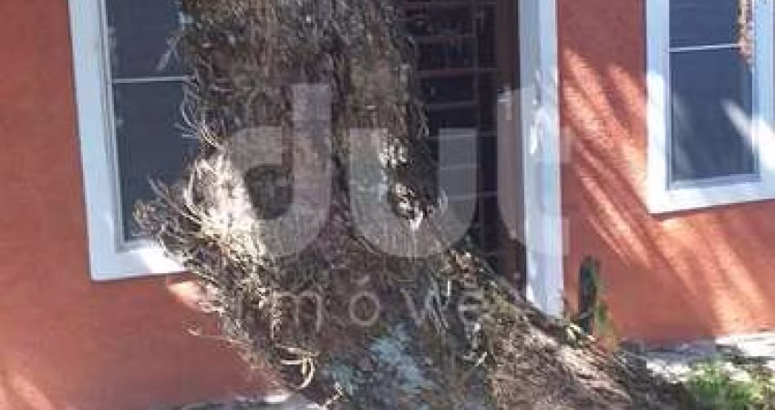 Chácara / sítio com 3 quartos à venda na Rua Antônio Negrello, 1, Apaga Fogo, Valinhos