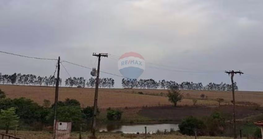 Fazenda à Venda com 53 alqueires - Cana e Pecuária - Região de Fernandópolis/SP
