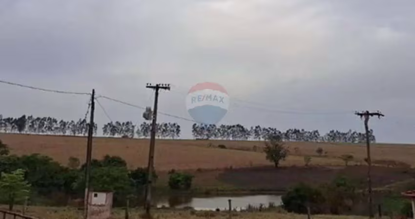 Fazenda à venda com 53 alqueires - cana e pecuária - região de fernandópolis/sp