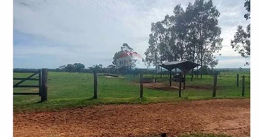 Fazenda com 131 alqueires à venda na região de araçatuba/sp - pecuária