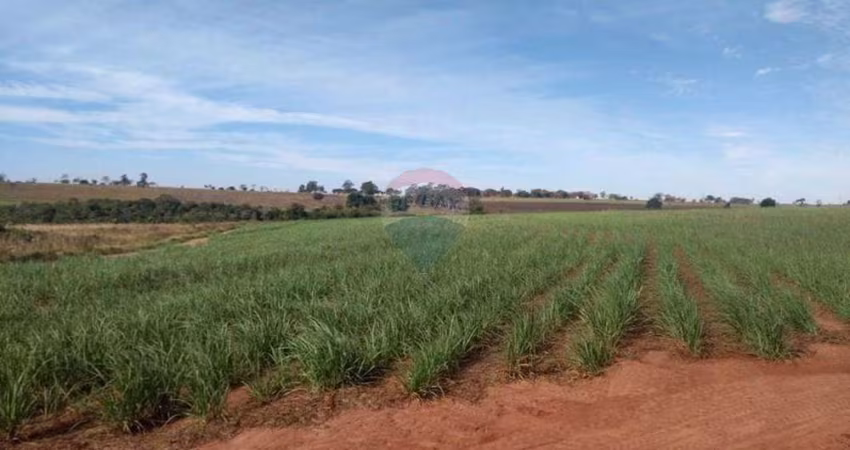 Fazenda com 94 Alqueires à venda na Região de Pereira Barreto/SP - Cana