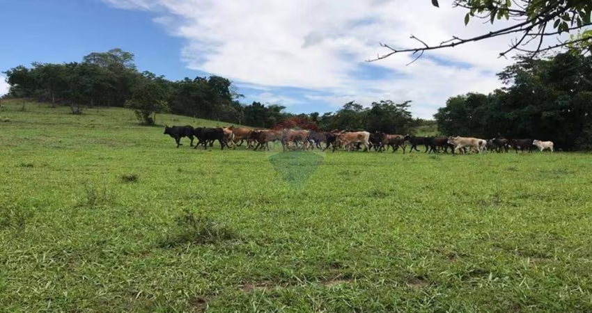 Fazenda - 83 alqueires - Região de General Salgado/SP