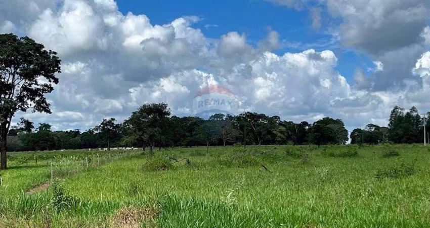 Fazenda 56 Alqueires - Cana - Região de São Carlos/SP