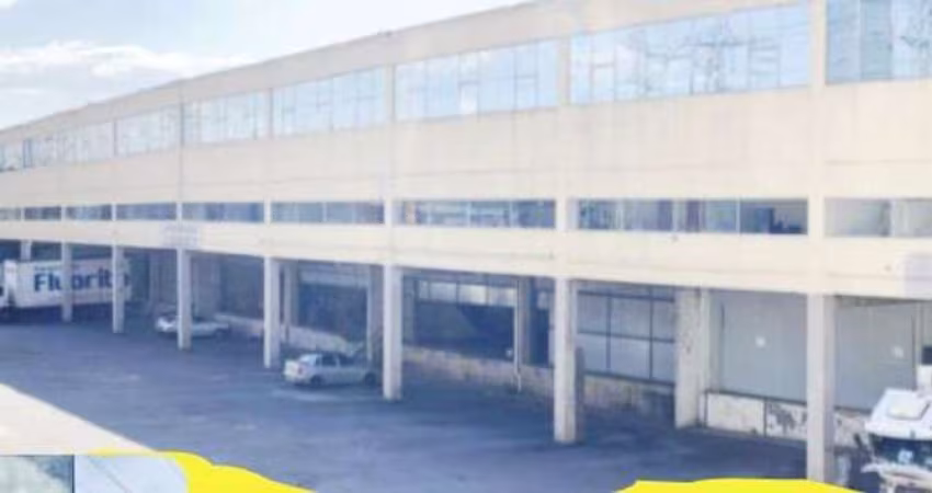 Galpão Comercial no Parque São Domingos