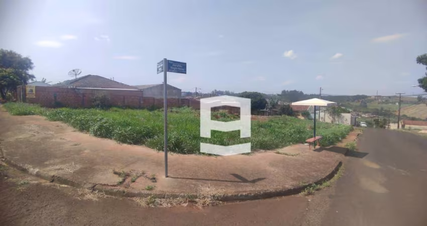 Terreno à venda, 200 m² por R$ 55.000,00 - Loteamento Sanches dos Santos - Apucarana/PR