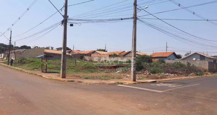 Terreno à venda, 293 m² por R$ 60.000,00 - Vila Reis - Apucarana/PR