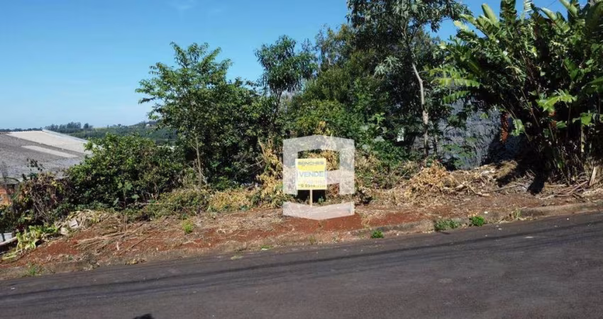 Terreno à venda, 378 m² por R$ 105.000,00 - Jardim Morada do Sol - Apucarana/PR