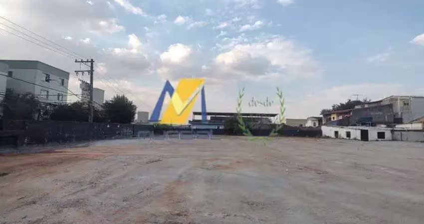 'esse espaço é um verdadeiro coringa do mercado de luxo!'