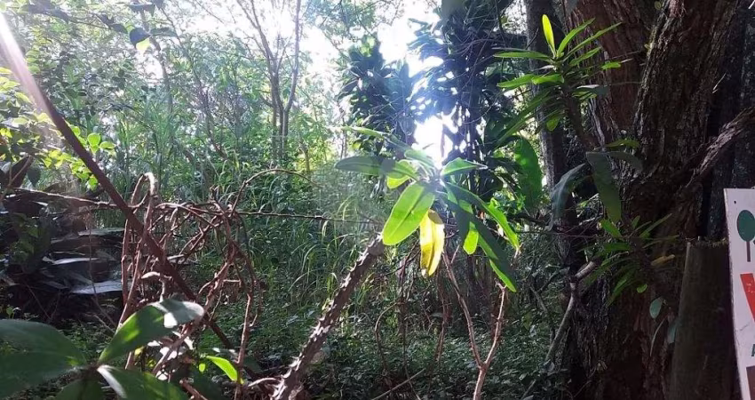 Terreno à venda na Rua Capitão Luís Rodrigues de Albuquerque, 98, Vila Irmãos Arnoni, São Paulo