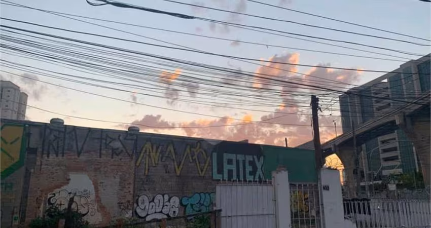 Terreno comercial para alugar na Avenida Professor Luiz Ignácio Anhaia Mello, 1450, Quinta da Paineira, São Paulo
