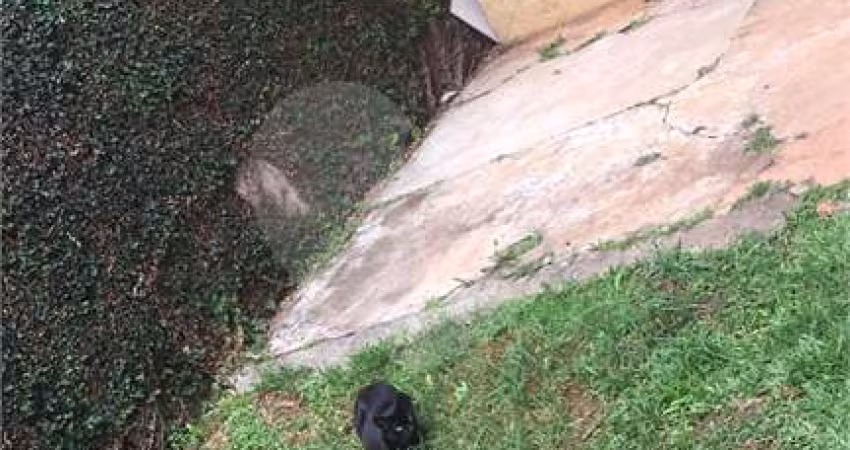 Casa em condomínio fechado com 4 quartos à venda na Rua Paulo Peixoto, 85, Jardim Virgínia Bianca, São Paulo