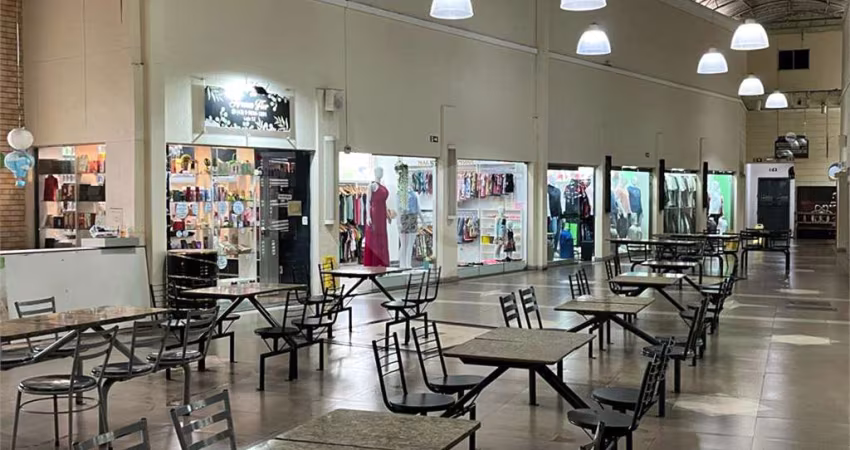Prédio à venda na Avenida Saul Elkind, 2101, Conjunto Vivi Xavier, Londrina