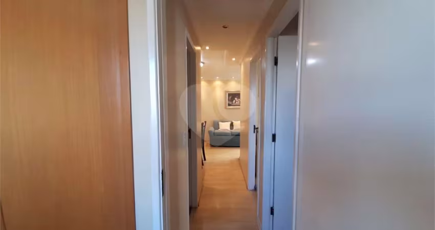 Apartamento com 3 quartos à venda na Rua Antônio Domingues Freitas, 193, Vila Amélia, São Paulo