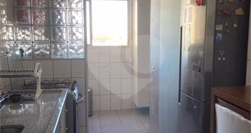 Apartamento com 3 quartos para alugar na Rua Euclides Pacheco, 1108, Vila Gomes Cardim, São Paulo