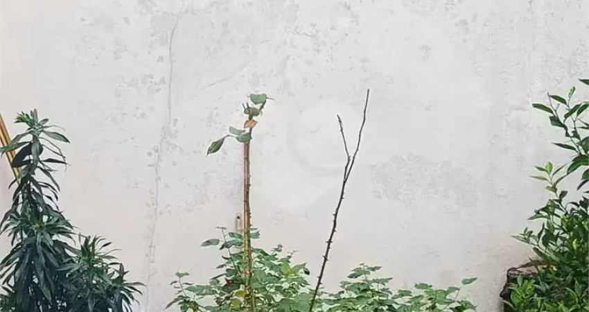 Casa com 4 quartos à venda na Rua Apeninos, 297, Aclimação, São Paulo
