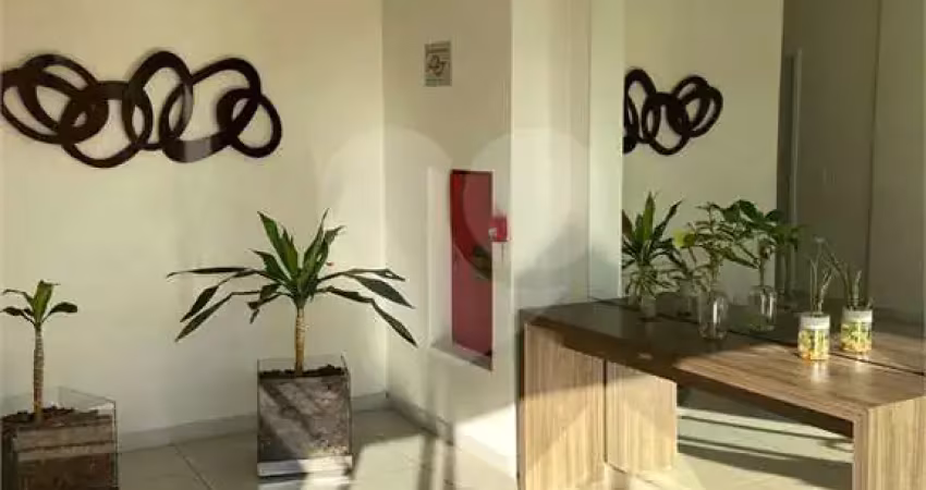 Apartamento com 3 quartos à venda na Rua Araguaia, 135, Vila Curuçá, Santo André