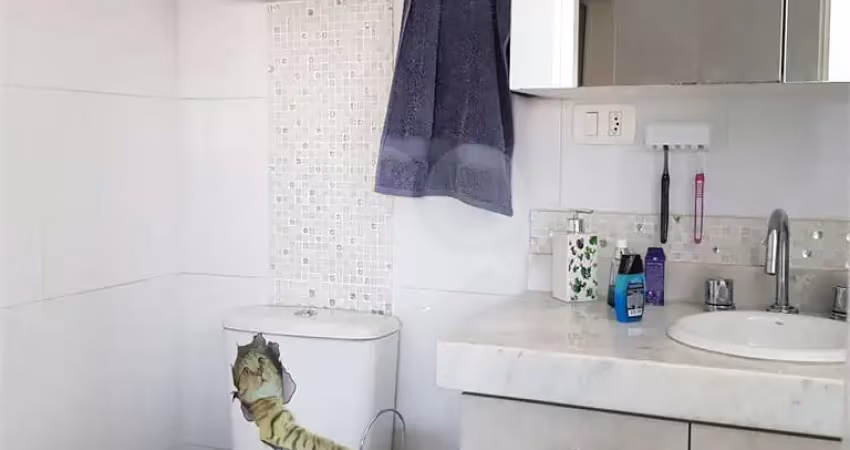 Apartamento com 2 quartos à venda na Rua Elói Cerqueira, 20, Belenzinho, São Paulo