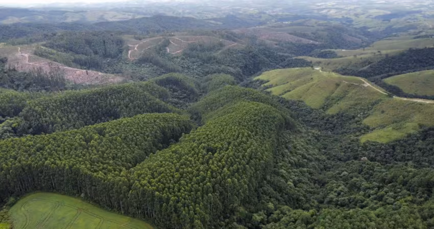 Fazenda à venda na Rua Marcílio Dias, Zona Rural, Reserva