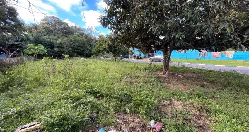 Terreno à venda, 250 m² por r$ 115.000,00 - padre réus - gravataí/rs