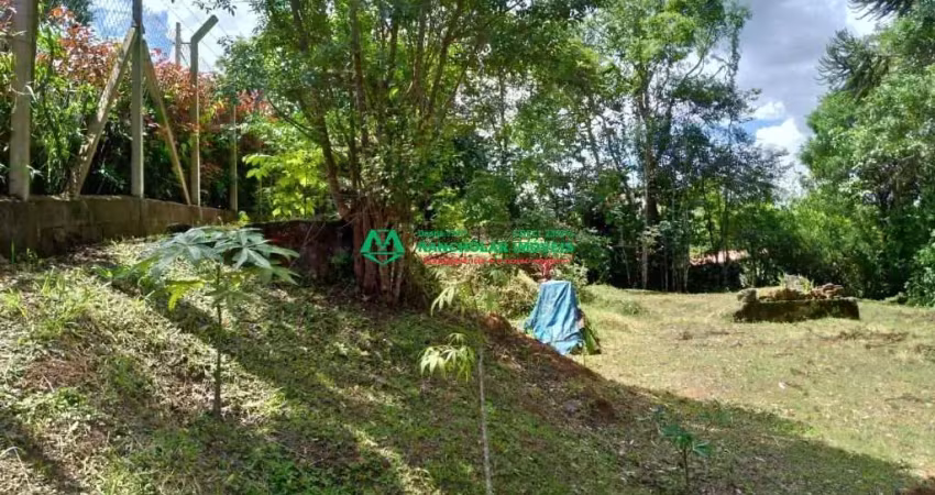 Terreno à venda na Estrada da Bacia Pequena, Tijuco Preto, Cotia