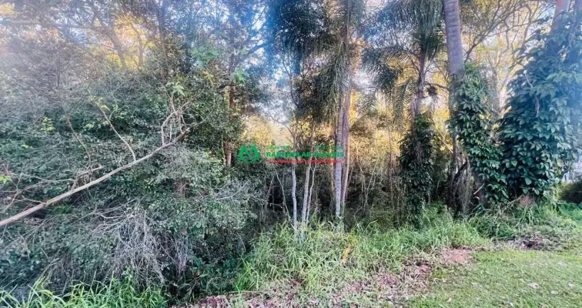 Terreno em condomínio fechado à venda na Rua Miami, 1628445, Residencial San Diego, Vargem Grande Paulista