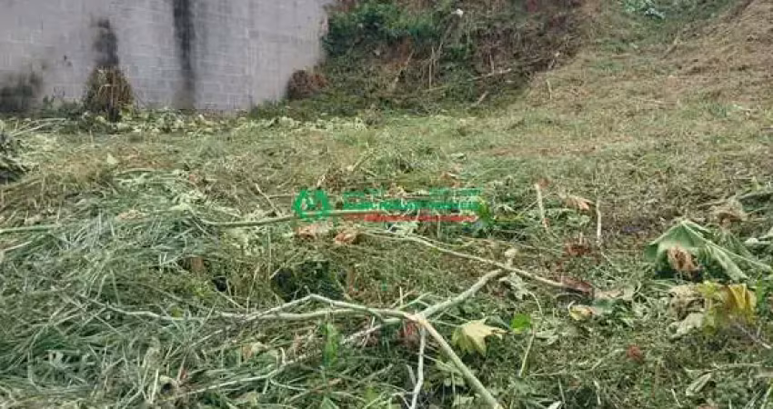 Terreno para venda em residencial pastoreiro de 250.00m²