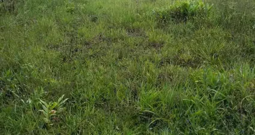 Chácara / sítio à venda no Zanzala, São Bernardo do Campo 