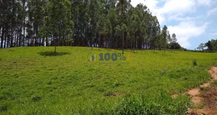 Chácara / sítio com 4 quartos à venda na Estrada de Guaxupé a Guaranézia, S/N, Centro, Guaxupé