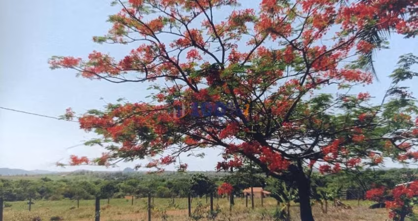 Fazenda à venda na Virgílio Justiniano Ribeiro, 232, Centro, Unaí