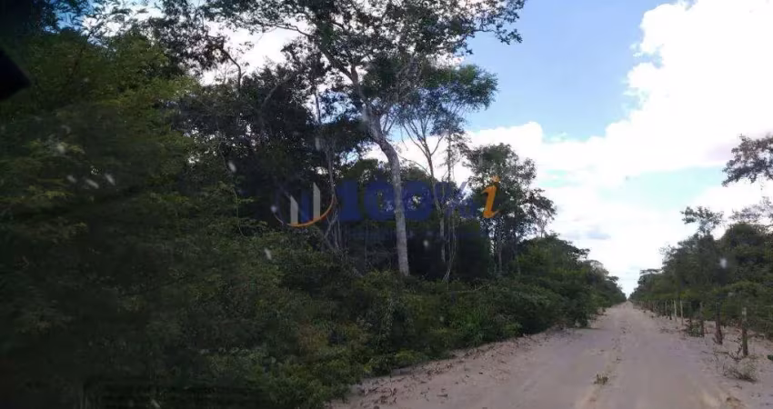 Fazenda à venda na Zona Rural, 10, Centro, Alvorada do Gurguéia