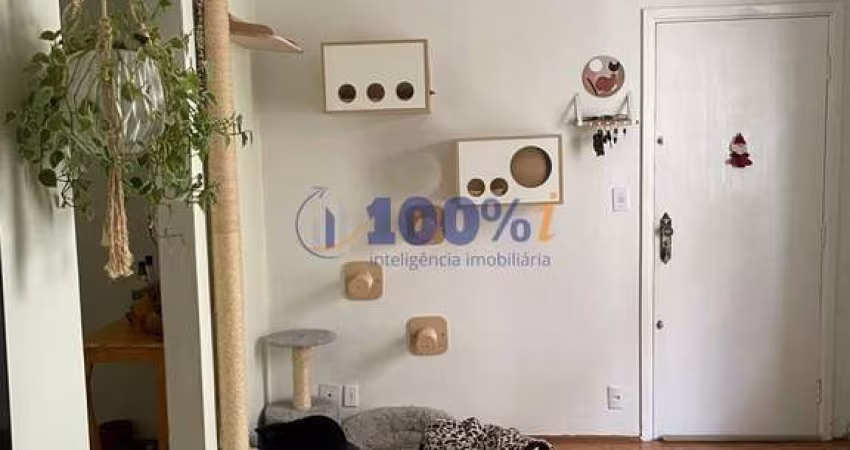 Apartamento com 2 quartos à venda na Rua Dom Paulo de Tarso Campos, 42, Vila Joaquim Inácio, Campinas