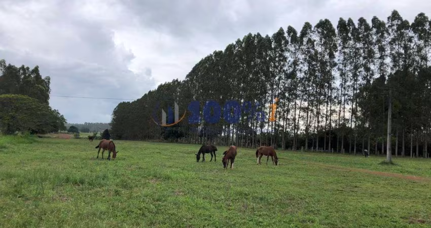 Fazenda à venda na Rural, S/N, Área Rural de Tucuruí, Tucuruí