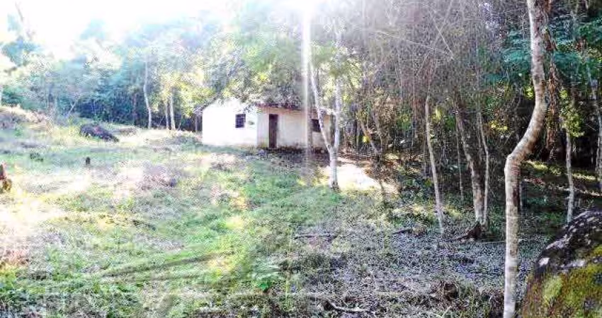 Área no Prumirim, bem localizada, 80% plana, 105 mil m2.