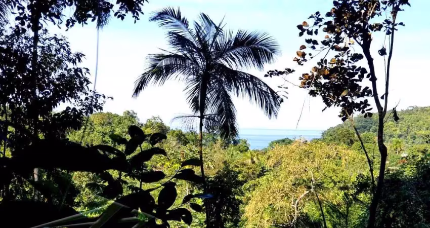 Ubatuba, praia do prumirim - terreno com liberação e projeto e vista mar, pronto para construir