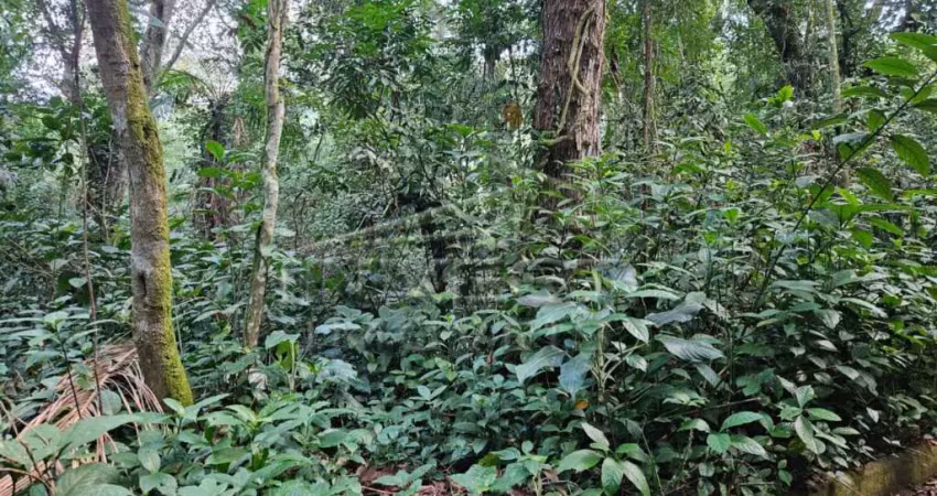 Ubatuba, Praia do Felix - Lote em fase de licenciamento ambiental, lote de 1000m2, com proposta de libração de 30%